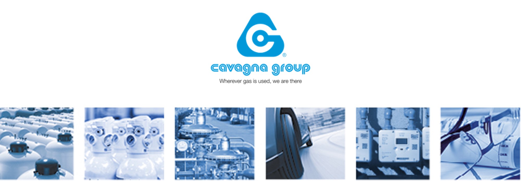 cavagna-group